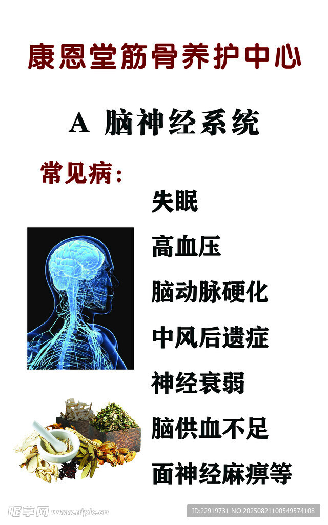 脑部养护科普宣传图