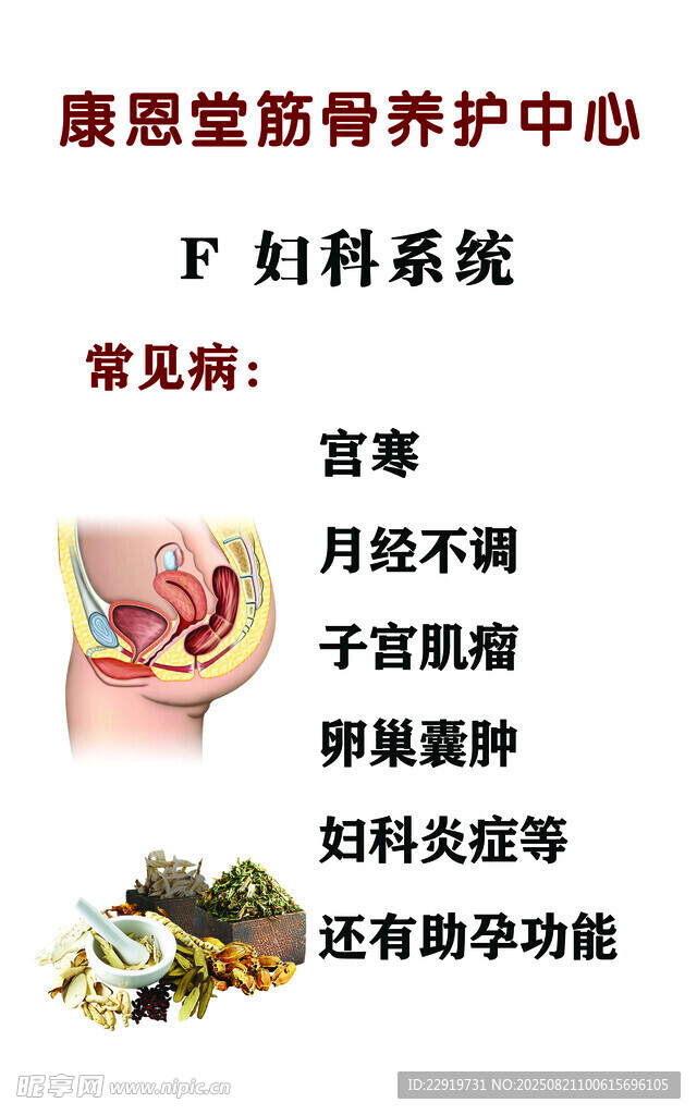 妇科系统常见疾病介绍