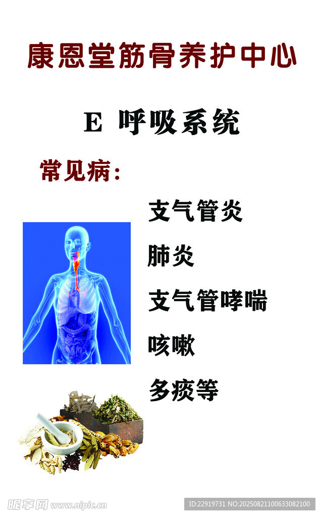 呼吸系统常见疾病科普