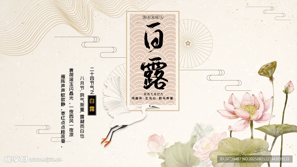 白露海报