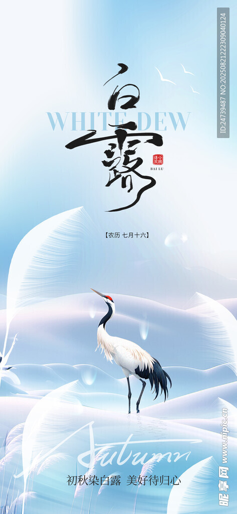白露海报