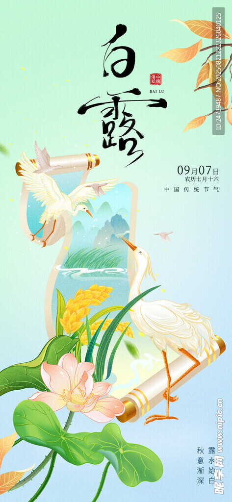 白露海报