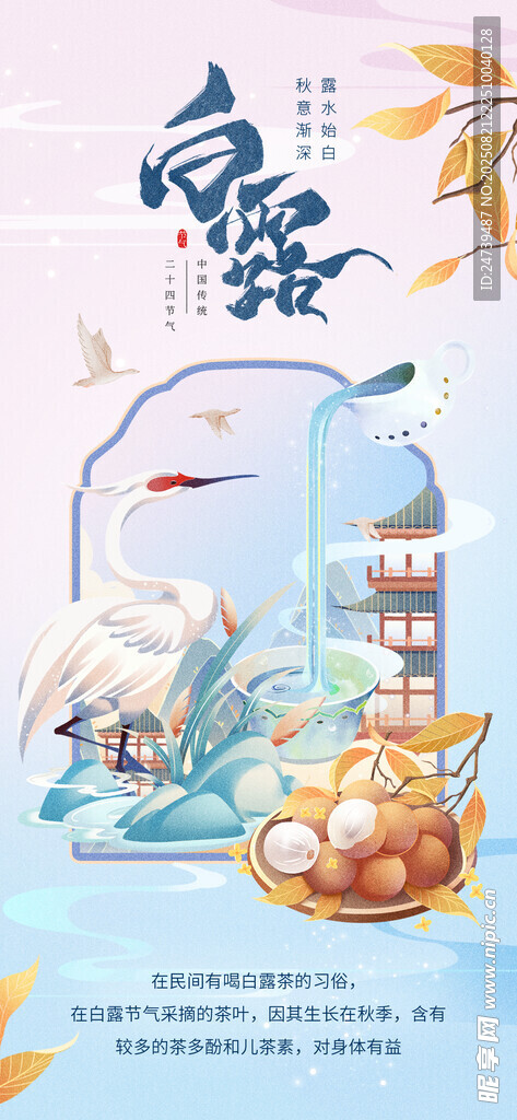 白露海报