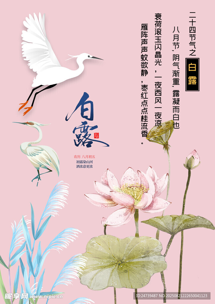 白露素材