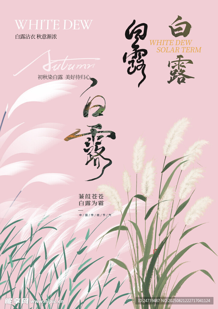 白露素材