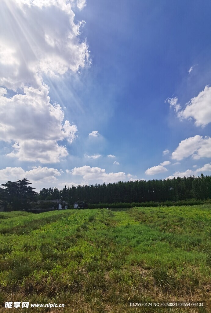 广阔绿野与蓝天白云美景