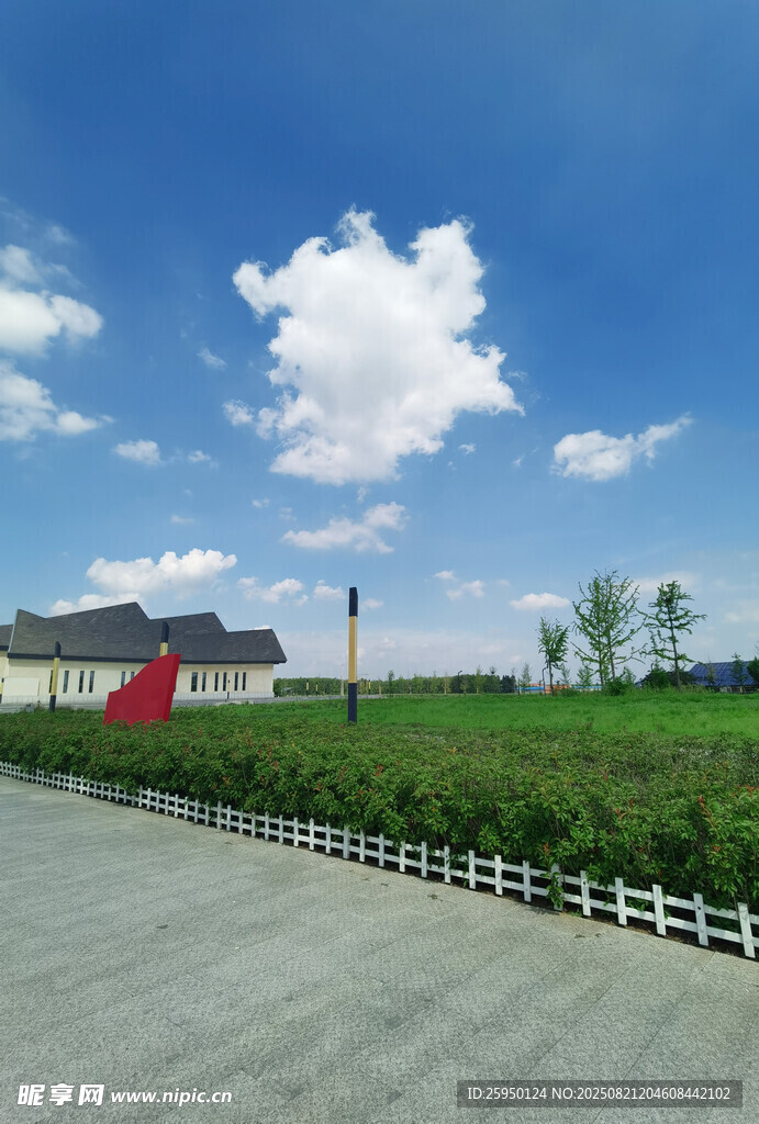 乡村公路旁的开阔田园风光
