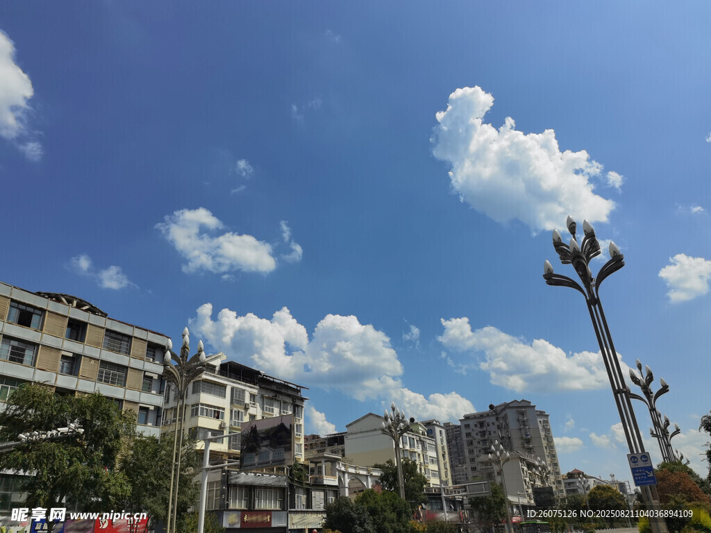 城市晴空下的建筑与路灯