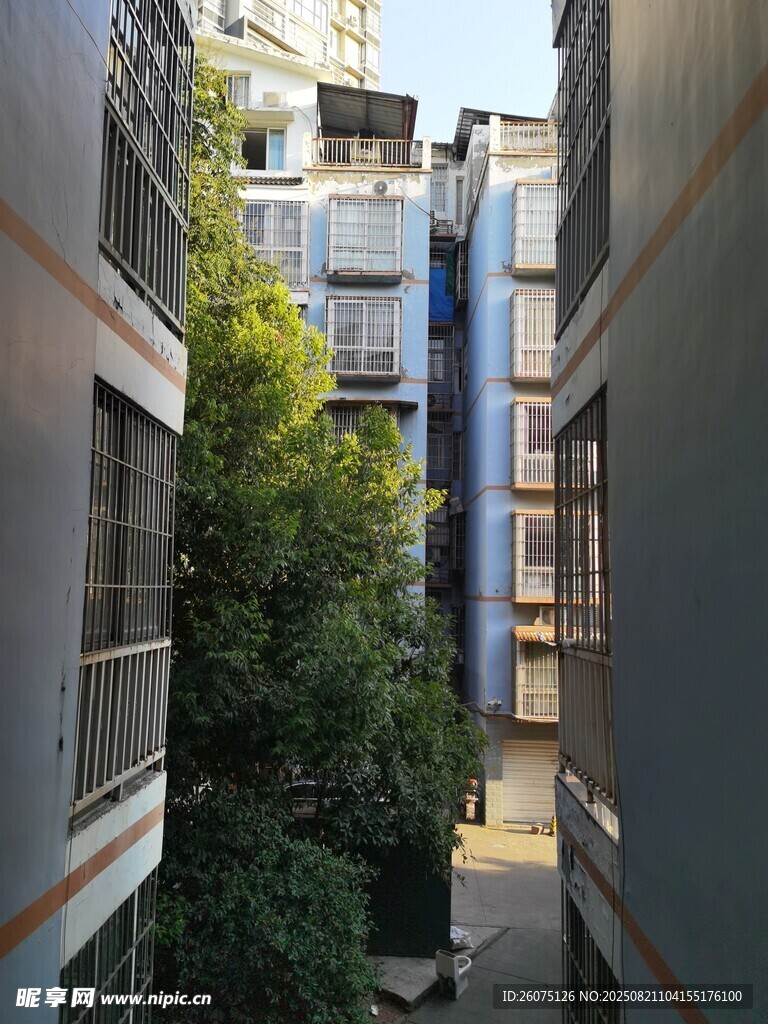 楼间绿植小巷景观