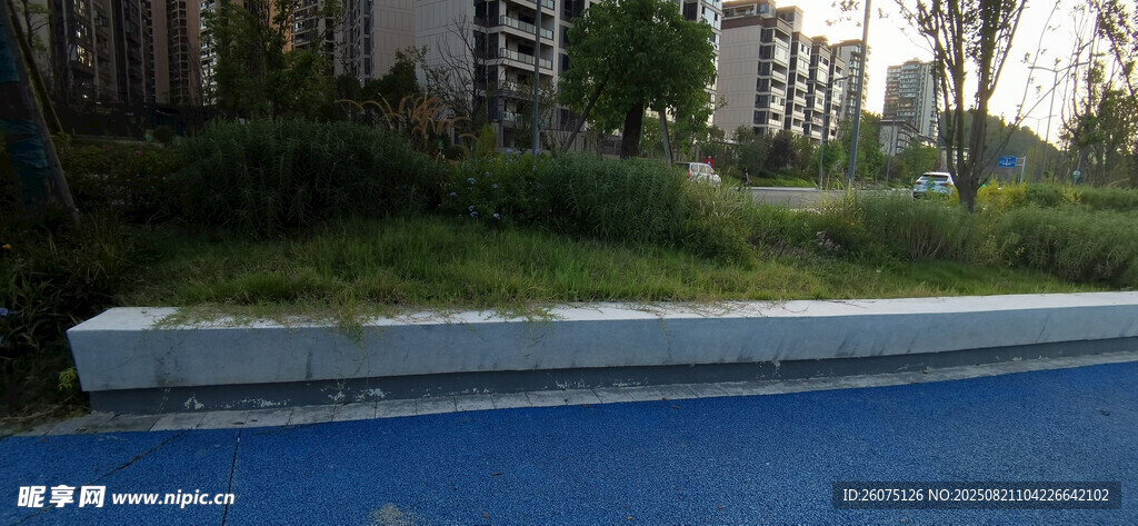 户外蓝色步道与绿植景观