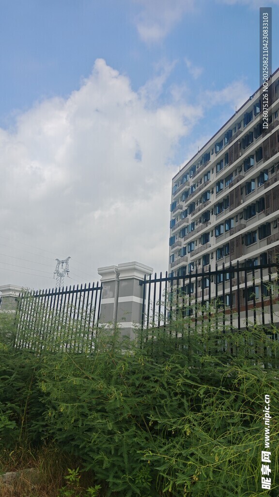 高楼旁的绿植景观