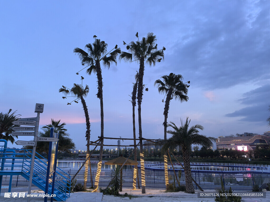 黄昏下的海边棕榈树景观