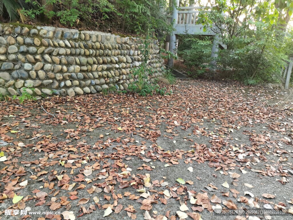 秋日落叶铺满石墙边地面