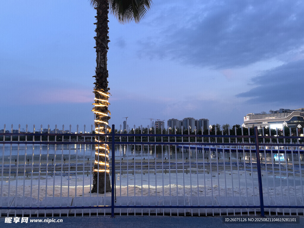 黄昏下的棕榈树与围栏休闲场景