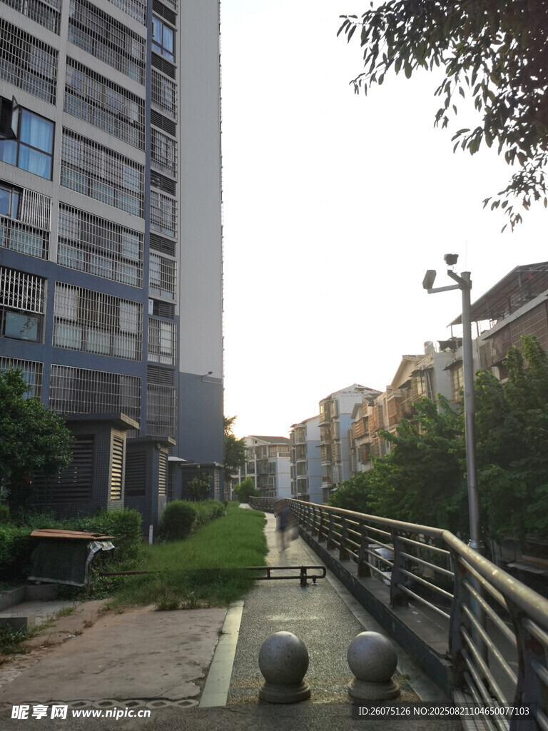 城市小区中的幽静步道