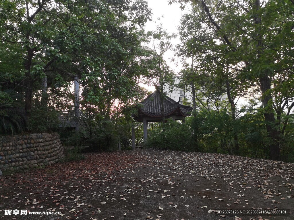 林间静谧小屋自然景致