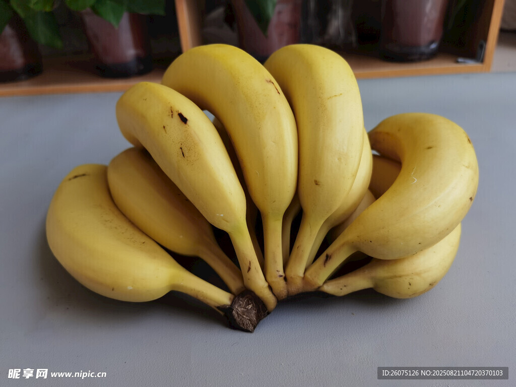 一串金黄饱满的新鲜香蕉
