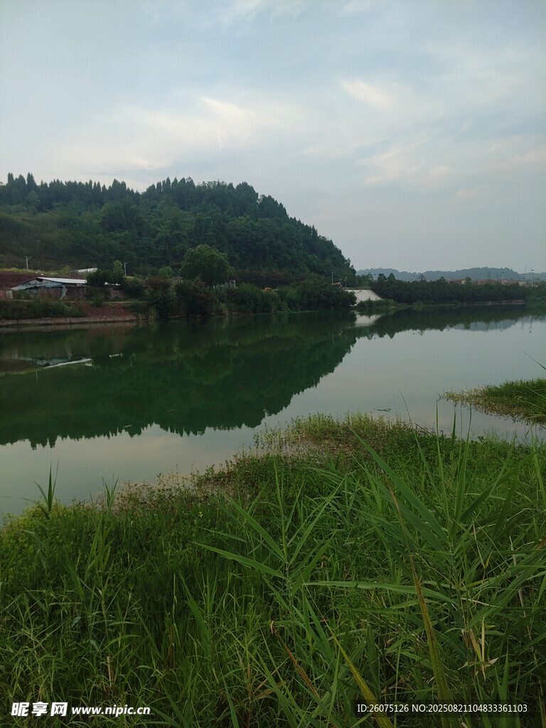 宁静湖畔的自然美景