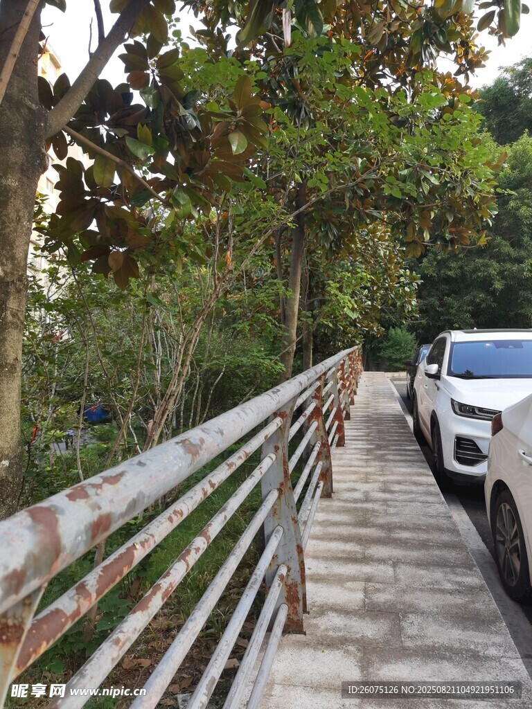 林间栈道与放的车辆