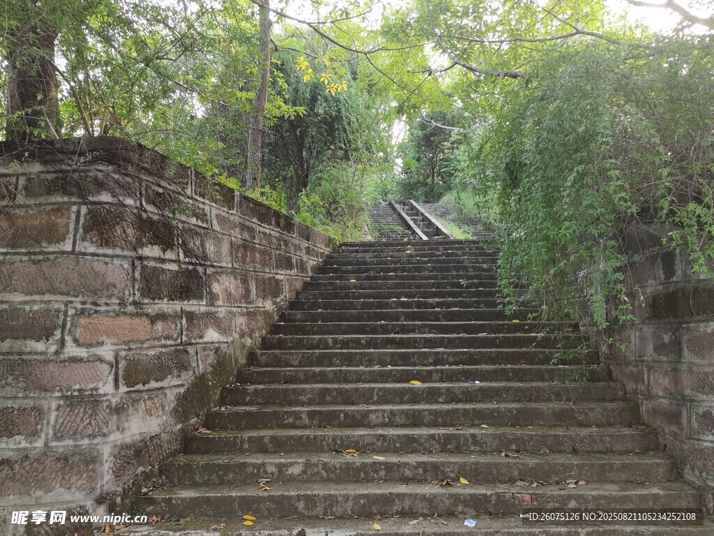 老旧石梯蜿蜒于葱郁草木间