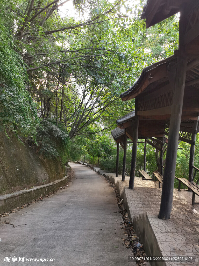 林间幽静步道与休憩亭