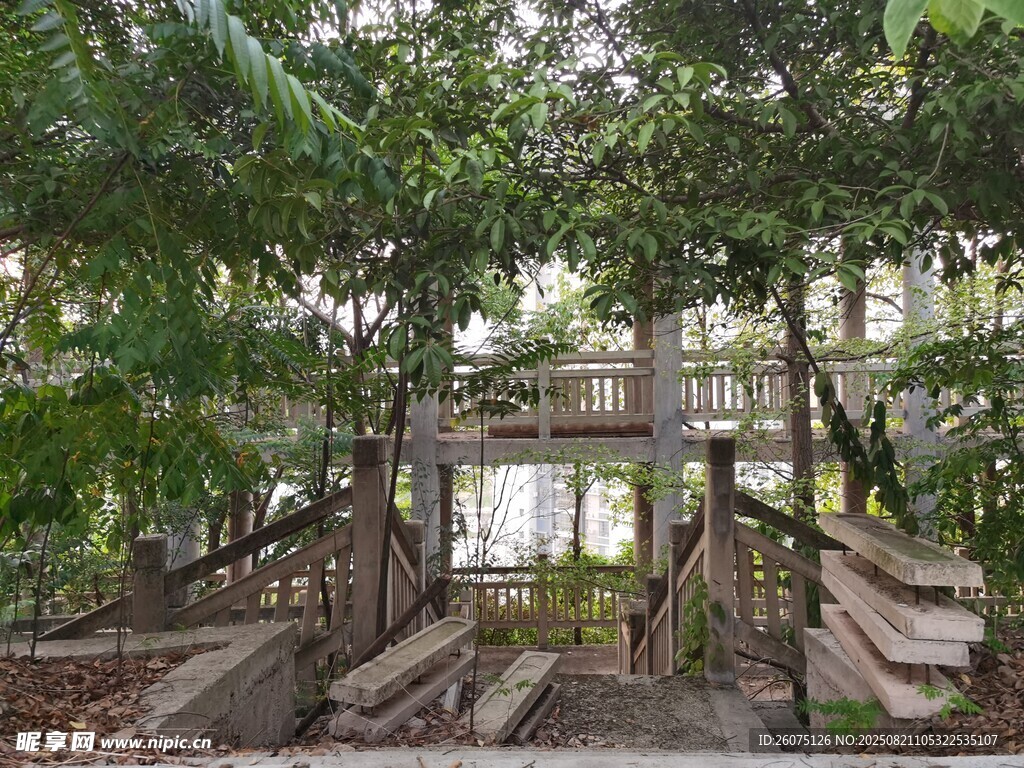 废弃林间木栈道自然静谧之景