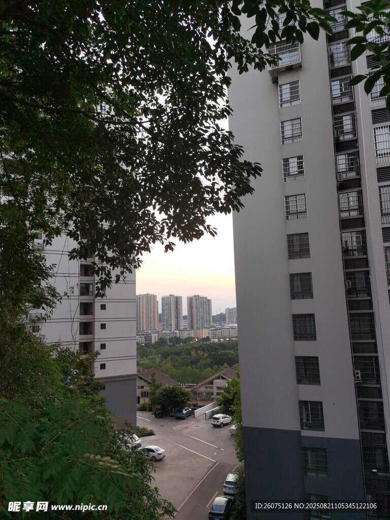 城市建筑与绿树景观