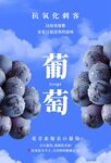 葡萄海报