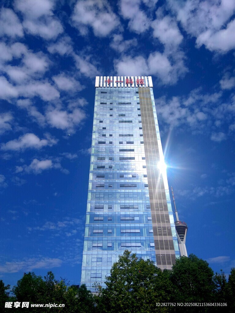 阳光下的大楼