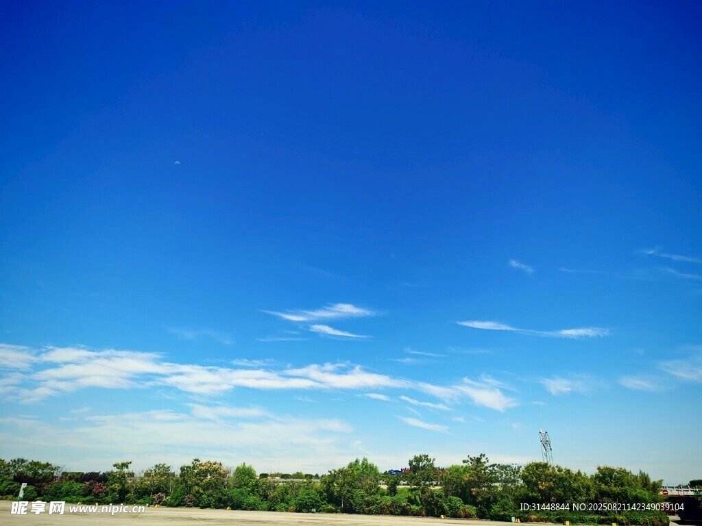 蓝天绿树美景