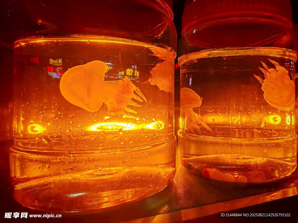 暖光映照下的玻璃容器