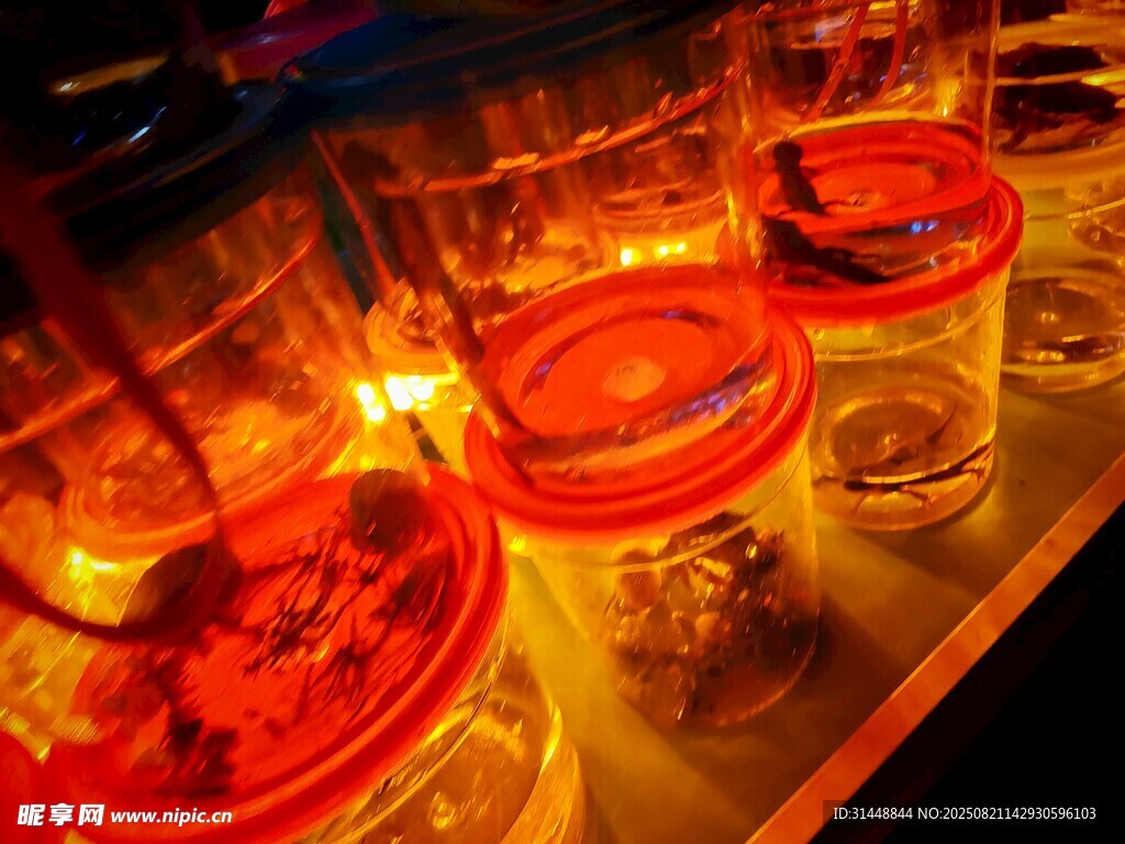 发光容器中的奇妙景象