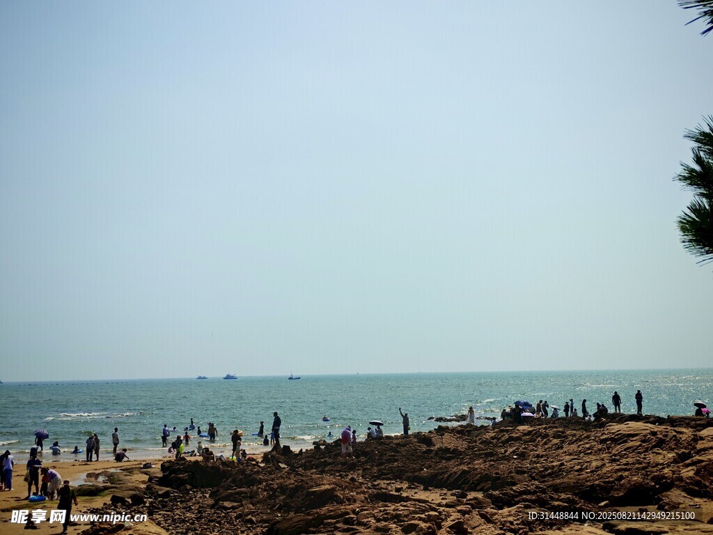 海边热闹的沙滩景象