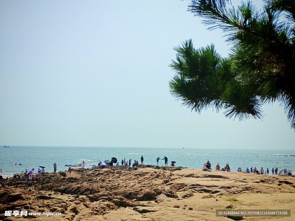 海边沙滩上的人群与绿树