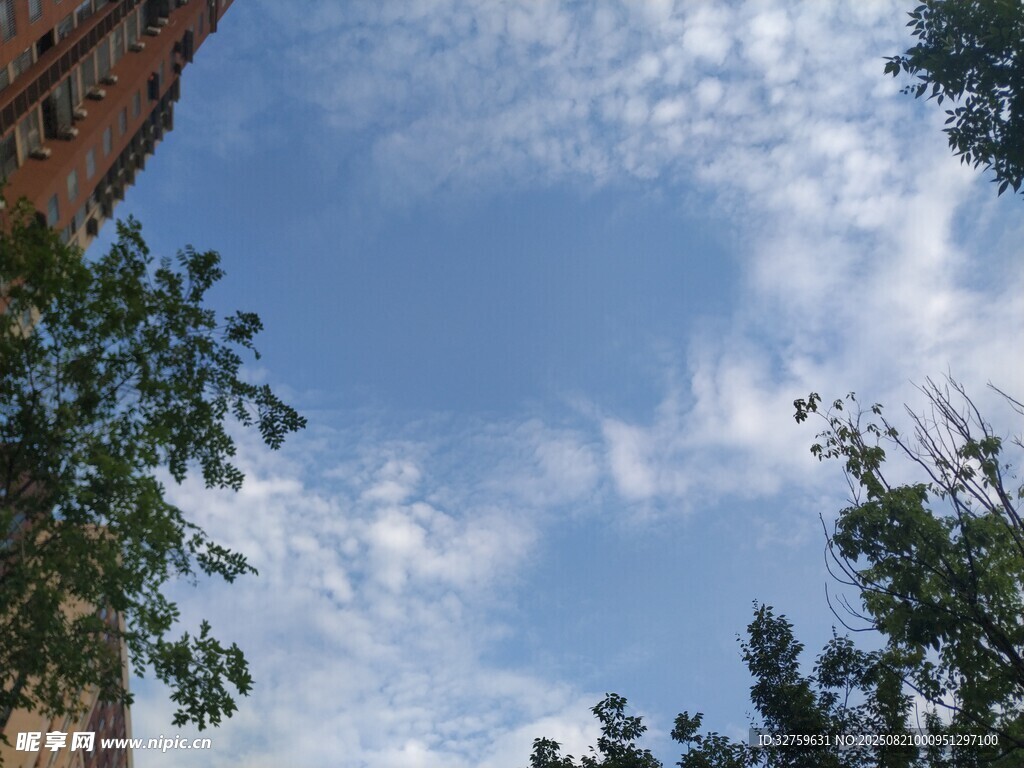 蓝天绿树间的美好景致
