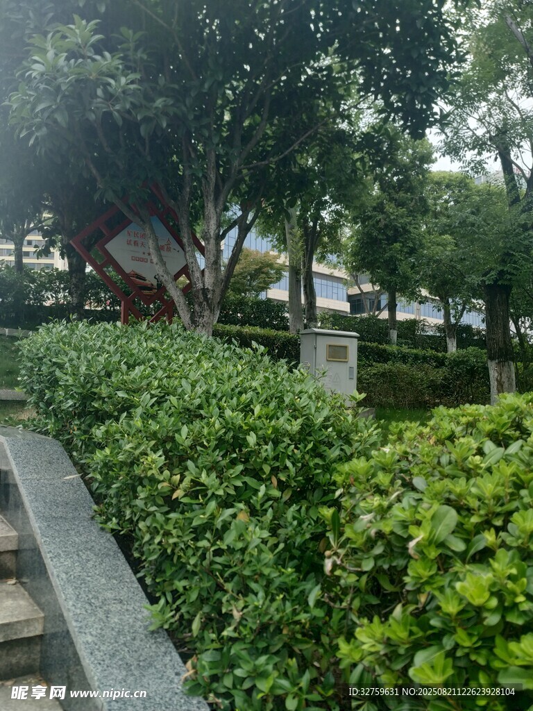 绿意盎然的城市园林景观