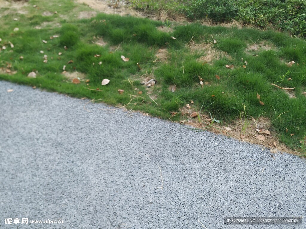 路边草地与灰色路面