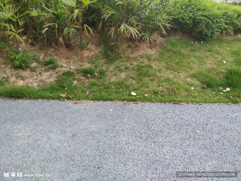 路边绿植景观