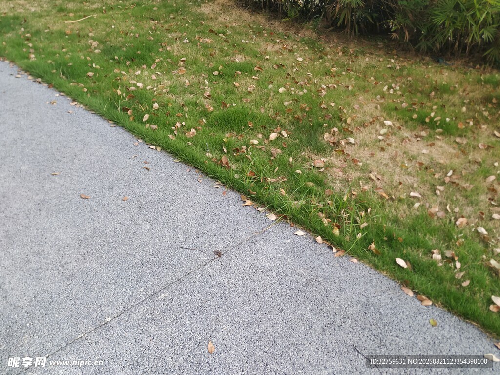 路边斑驳草地与灰色路面