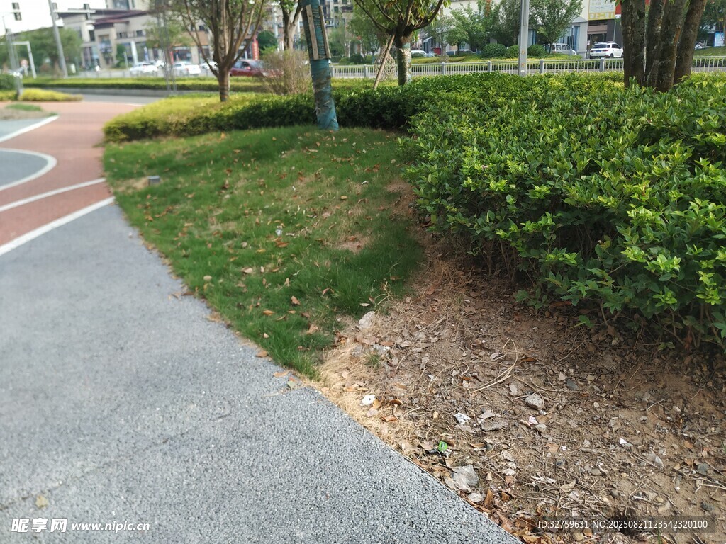 城市路边绿植景观