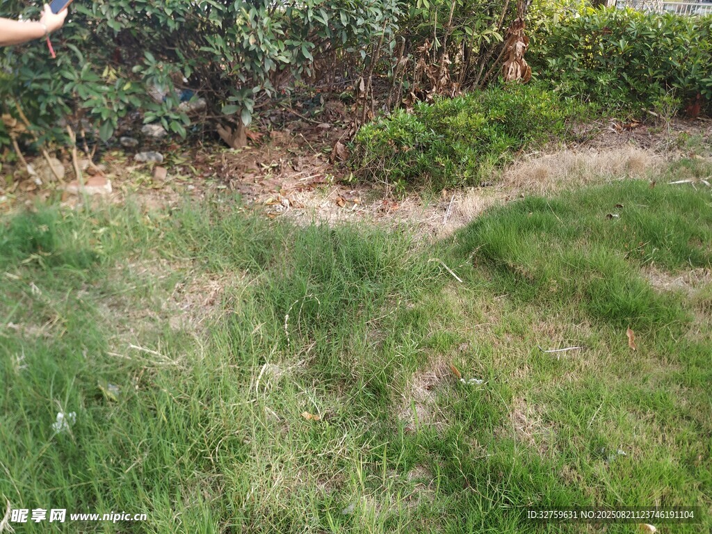 户外草地与绿植景观
