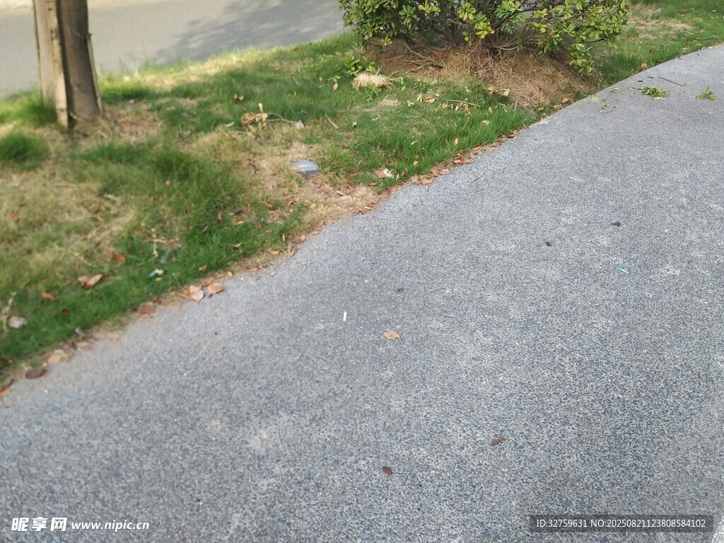 路边草地与灰色路面景象