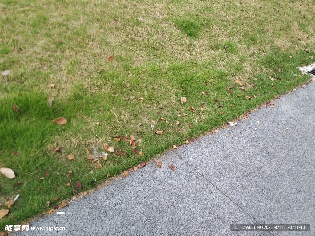 路边草地与水泥路面