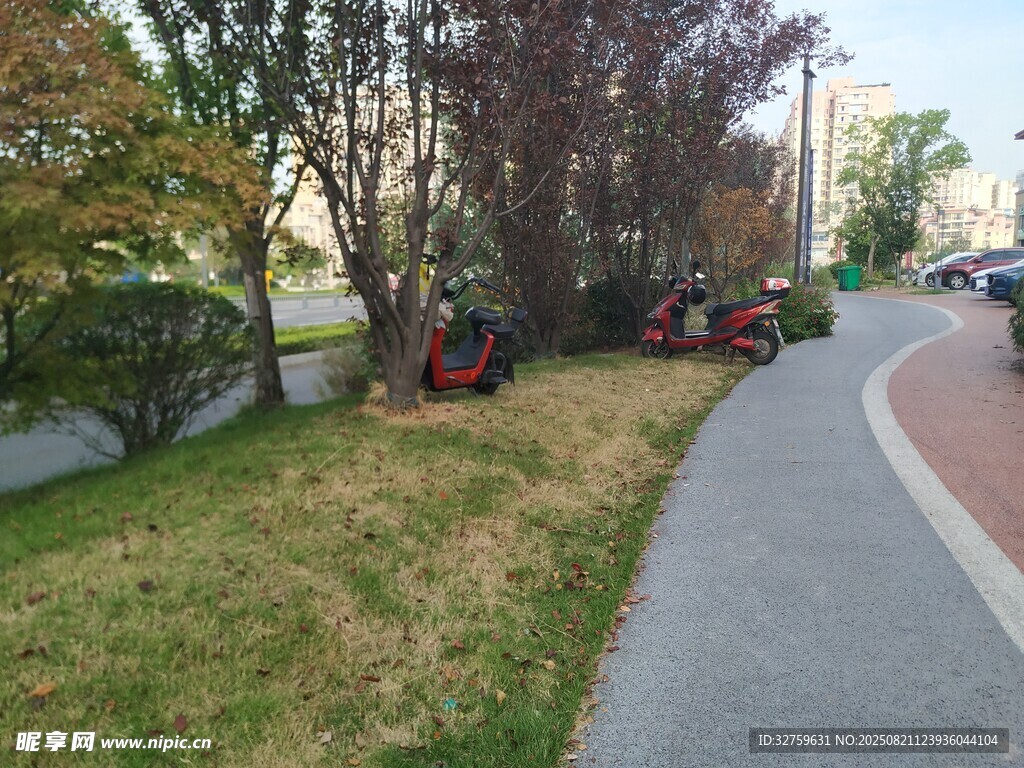 路边绿植景观