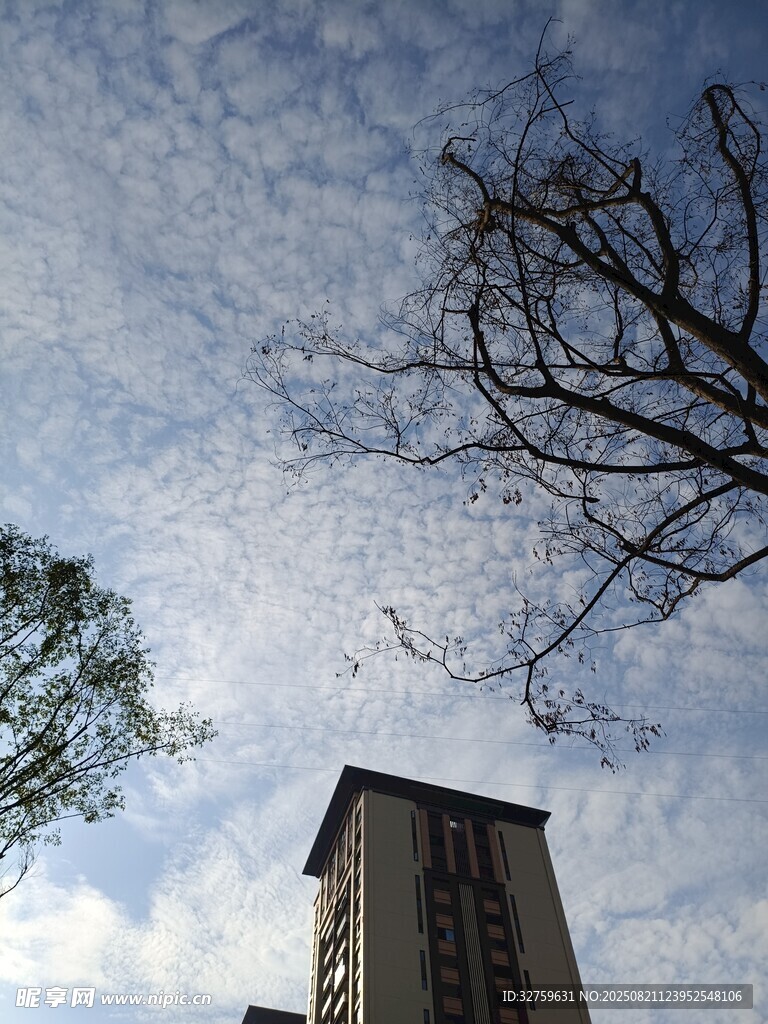 仰望天空与古老建筑