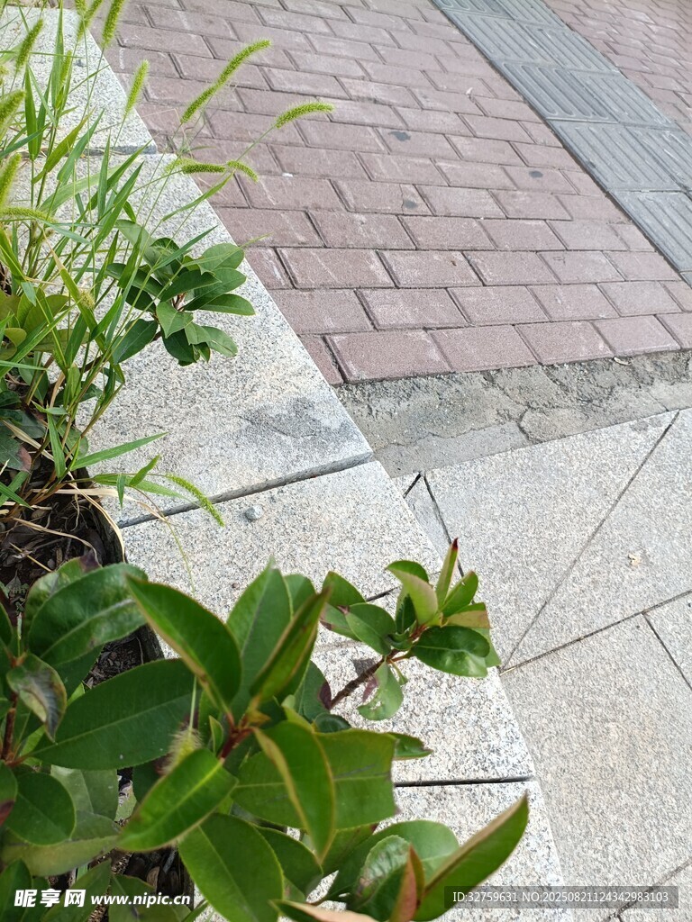 路边绿植与砖石路面景观