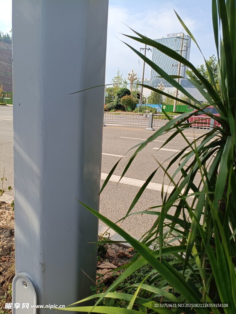 户外绿植与金属立柱景观