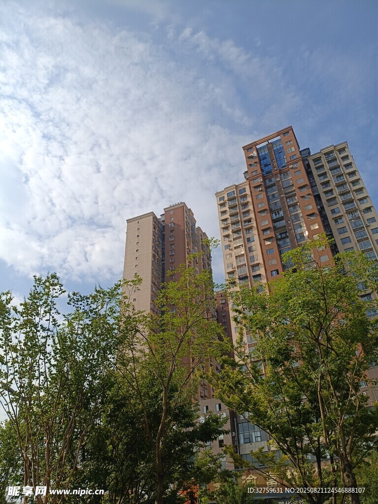 城市高楼与绿树相映成趣