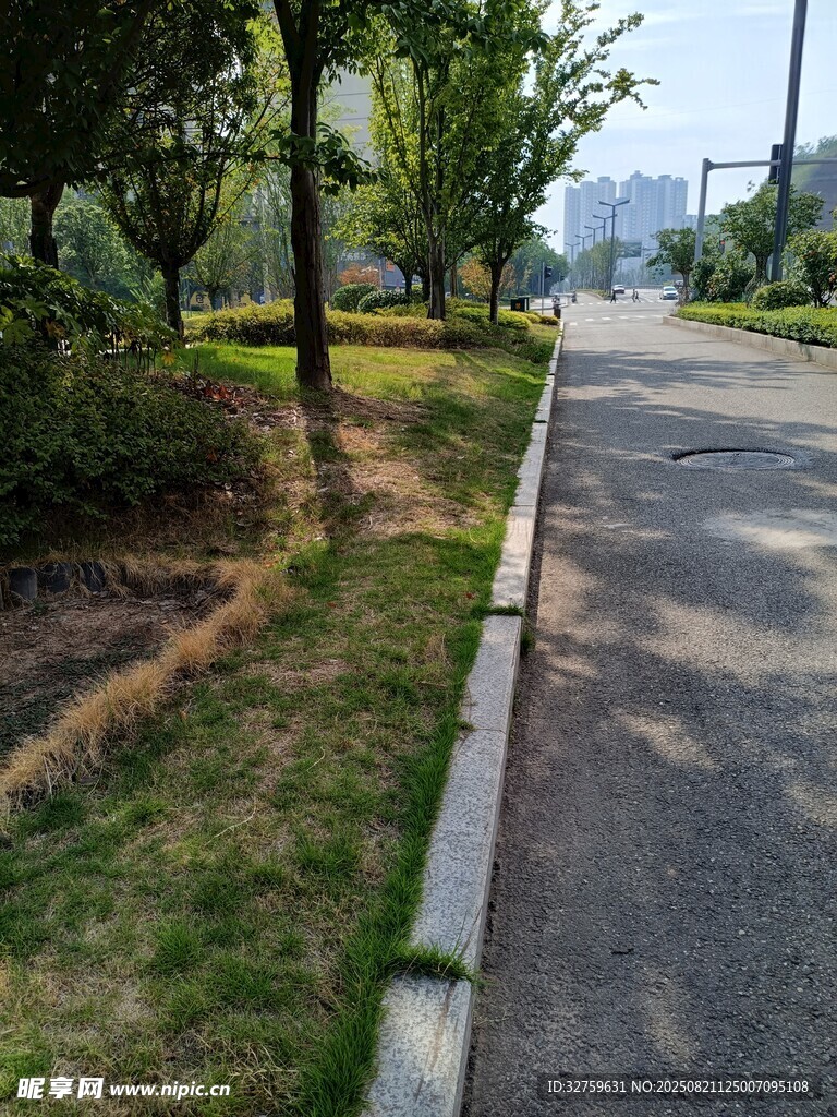 城市林荫小道 