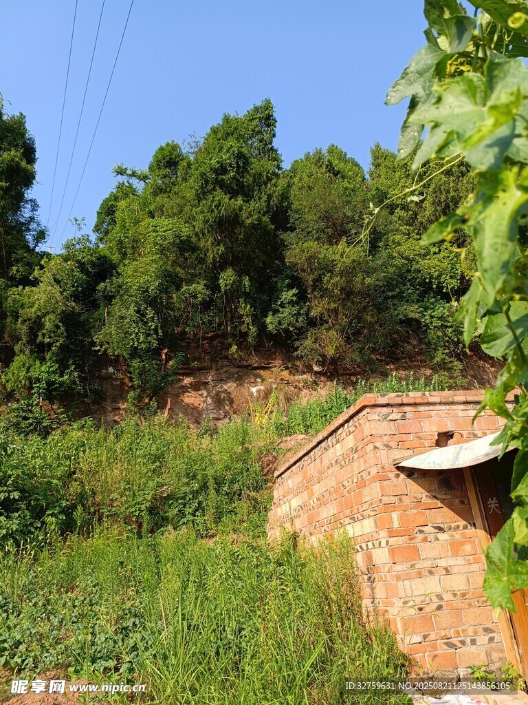 山坡绿植环绕的红砖建筑